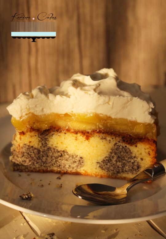 K IMG_6703 – kópia (2)