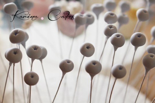 kvietky-pre-annu_7438