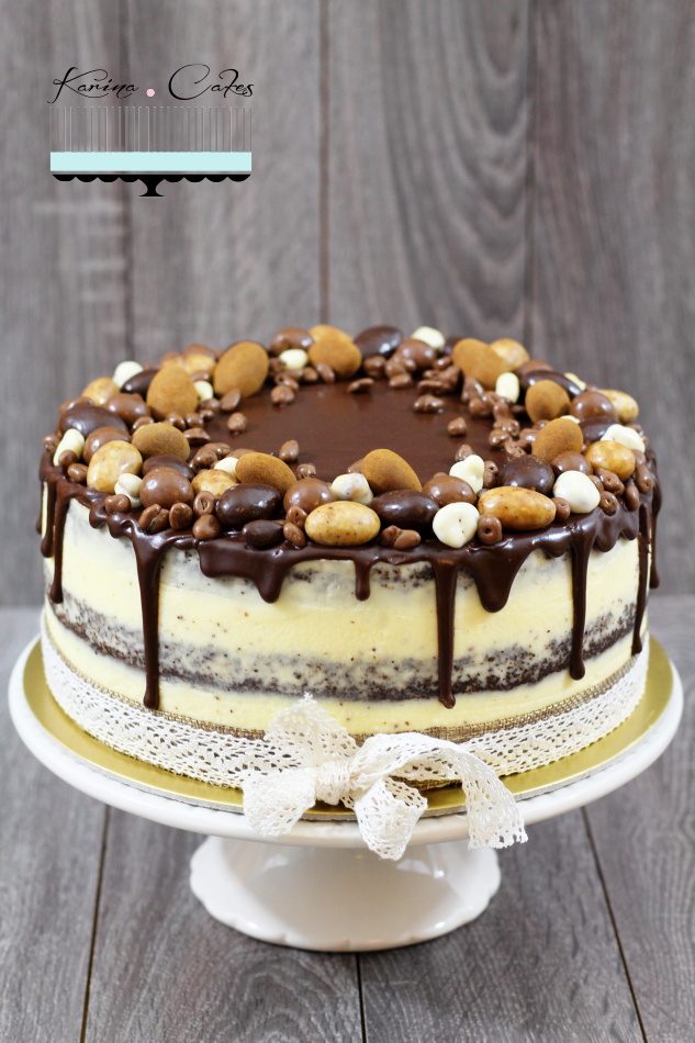 makova-torta-s-cokoladovou-polevou_8634-3