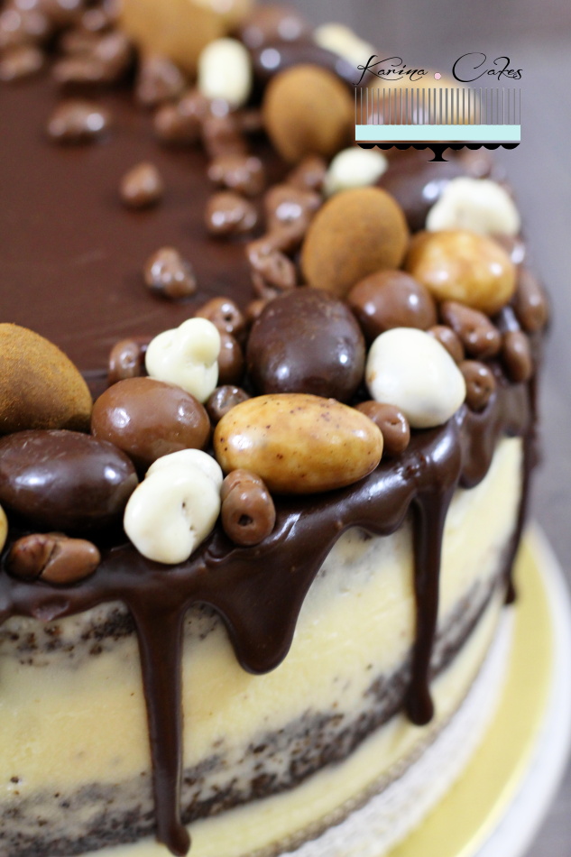 makova-torta-s-cokoladovou-polevou_8661-3